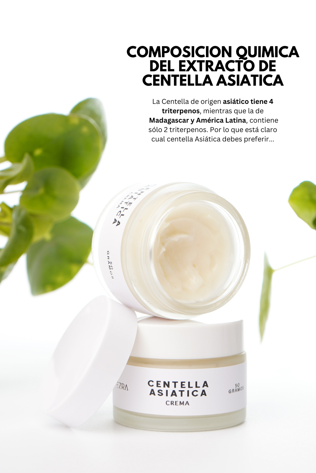 CREMA CENTELLA ASIÁTICA