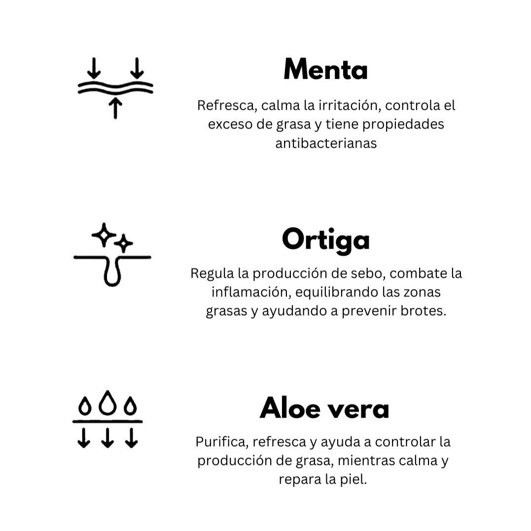 KIT PIEL MIXTA Y GRASA